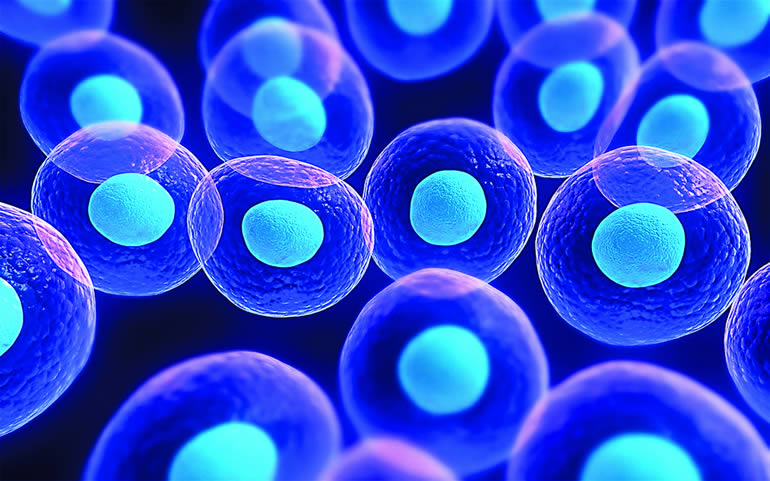 Células-tronco, uma possibilidade na busca pela cura do HIV/Aids